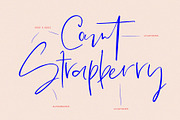 Minted Mood / Font Duo, a Script Font by Fortunes Co (Thumbnail 11 of 15)