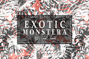 Exotic Monstera - Seamless Patterns, a Pattern Graphic by texvogue (Thumbnail 1 of 11)