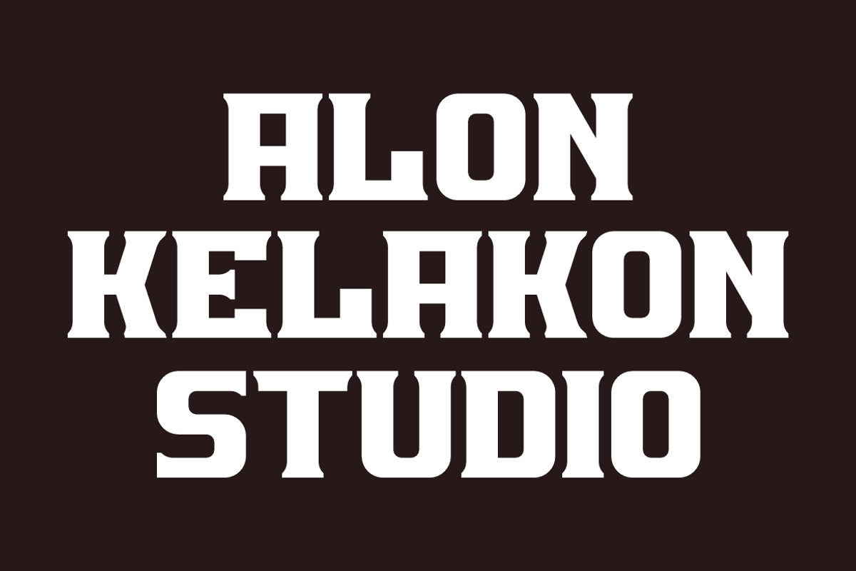 Qulizer, a Serif Font by alon kelakon (Photo 4 of 6)