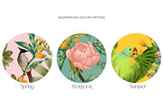 Malabar Patterns and Motifs, a Pattern Graphic by MenoMelo Studio (Thumbnail 2 of 7)