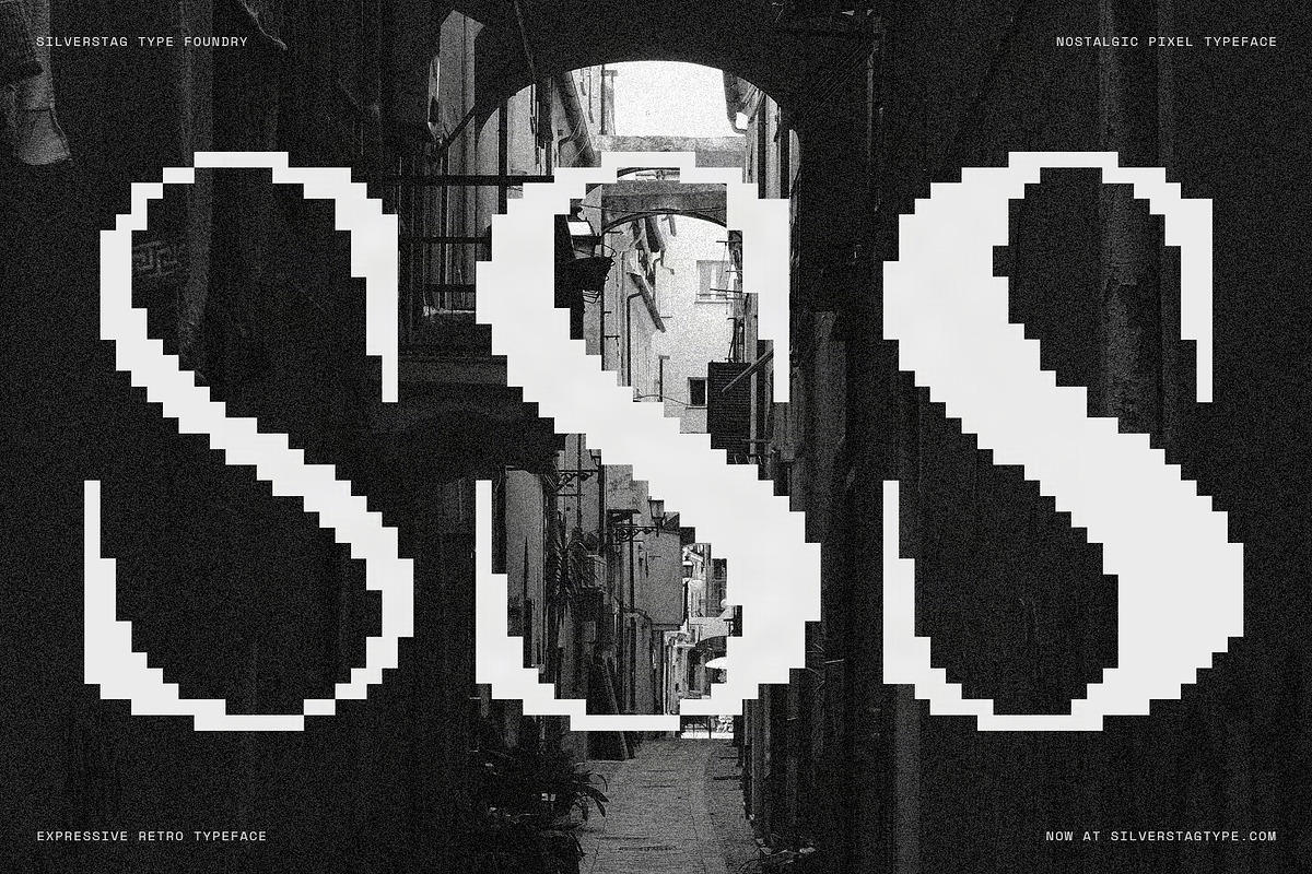The Silver Editorial Pixel Version, a Serif Font by SilverStag Type Foundry (Photo 13 of 20)