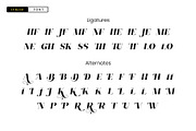 Filora All Caps Serif Font, a Serif Font by Idea Studio (Thumbnail 10 of 13)