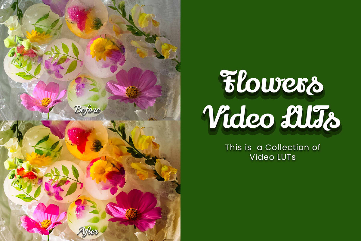 30 Flowers LUT Collection, a Preset Add-On by 3Motional (Photo 3 of 10)