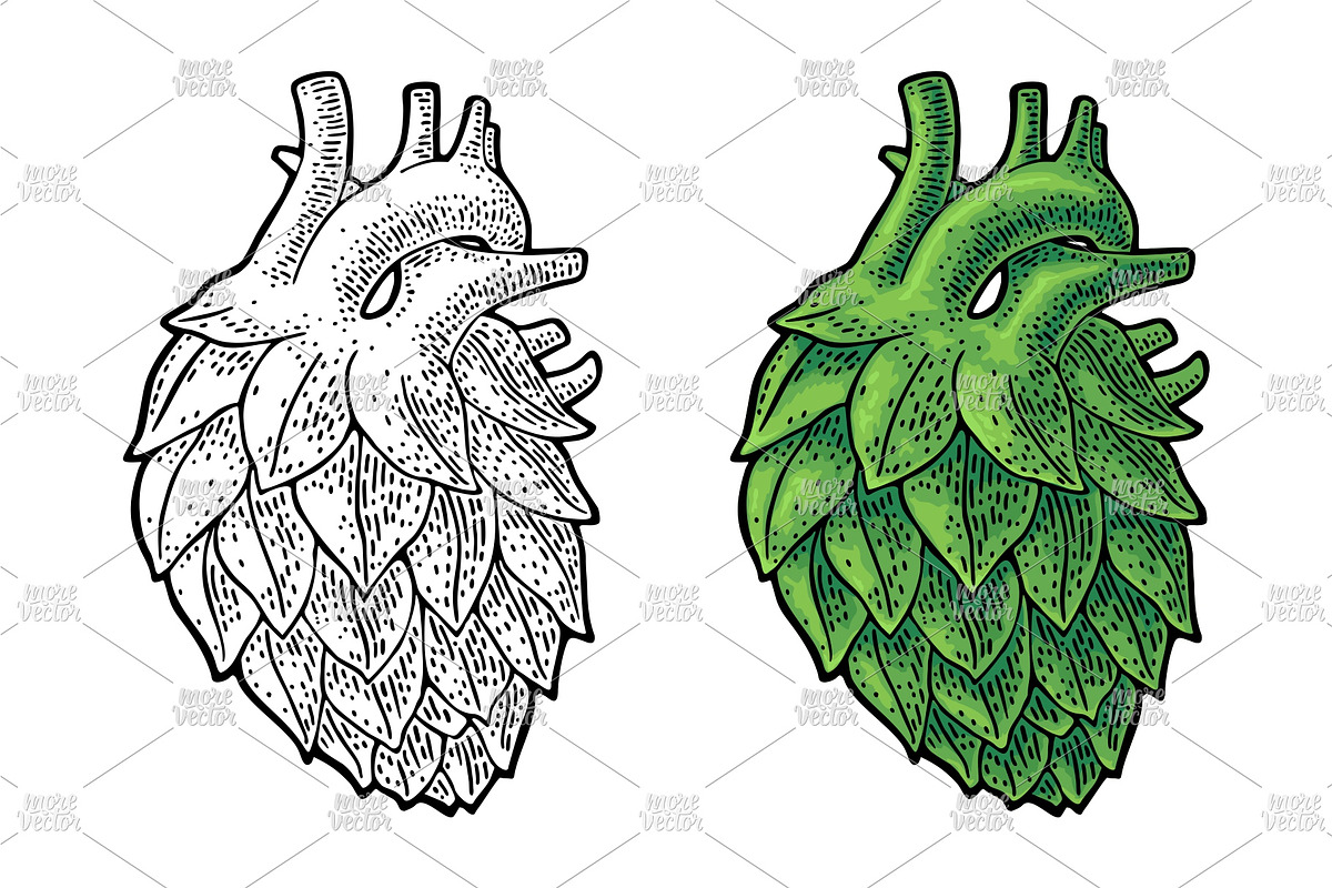 Hop cone heart engraving, a Food Illustration by MoreVector (Photo 3 of 3)