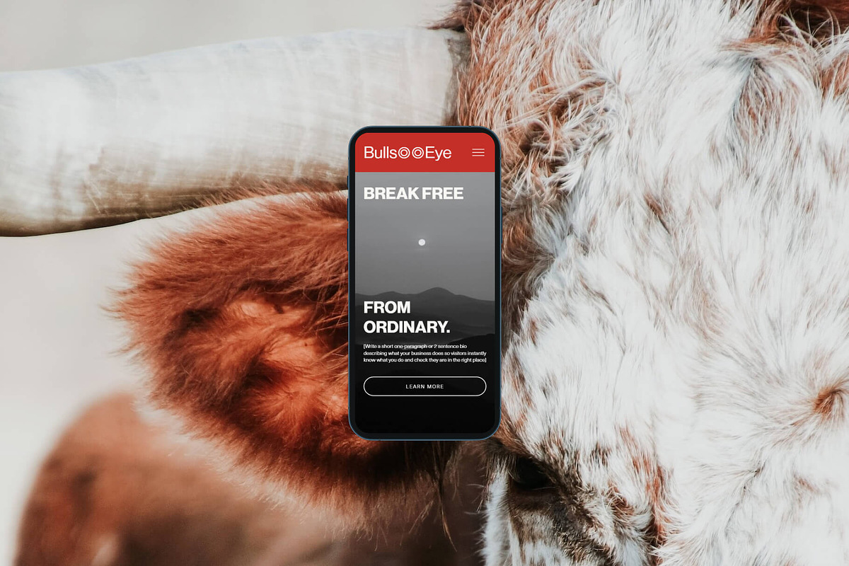 Bullseye Squarespace Website Template preview 2