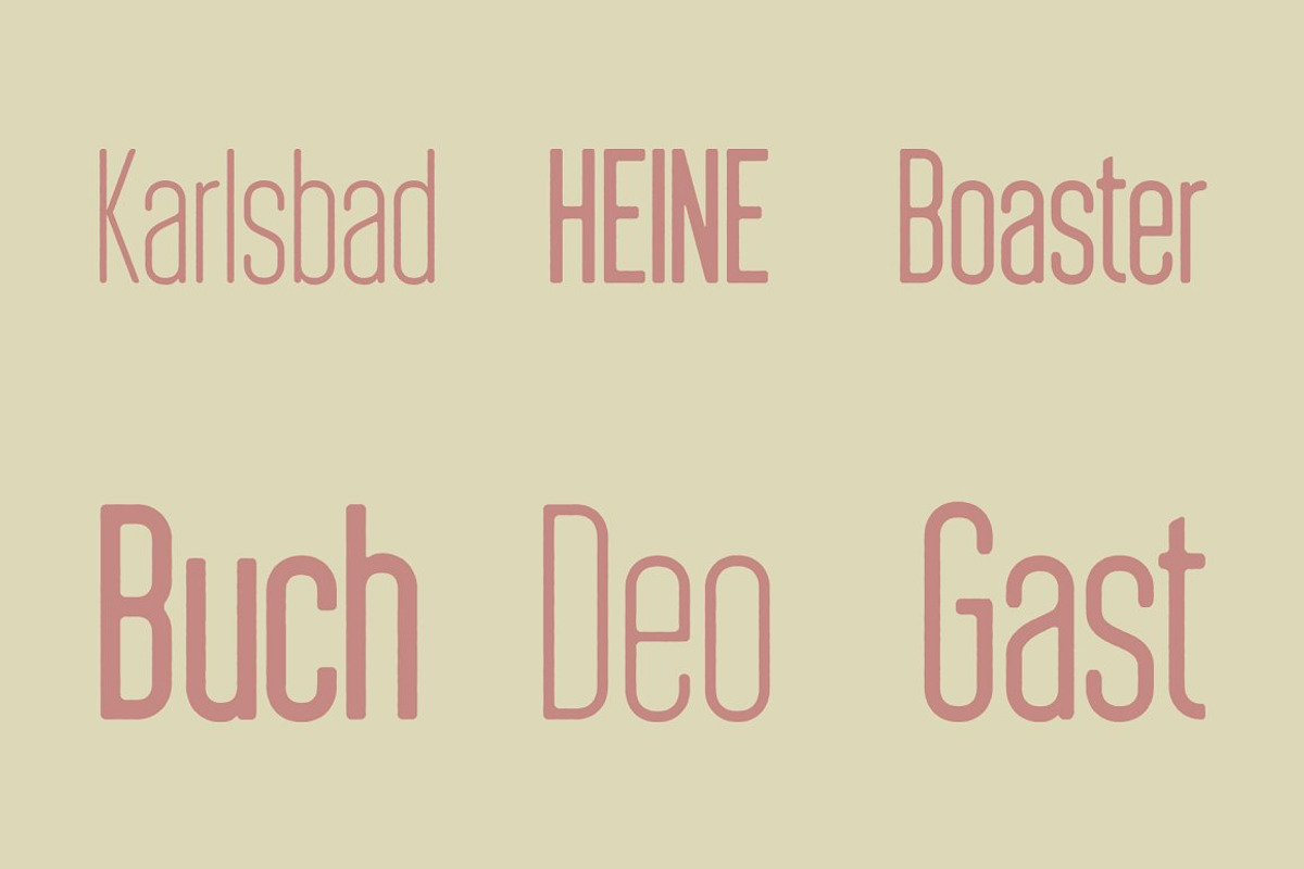 Braden Sans Font Family preview 8