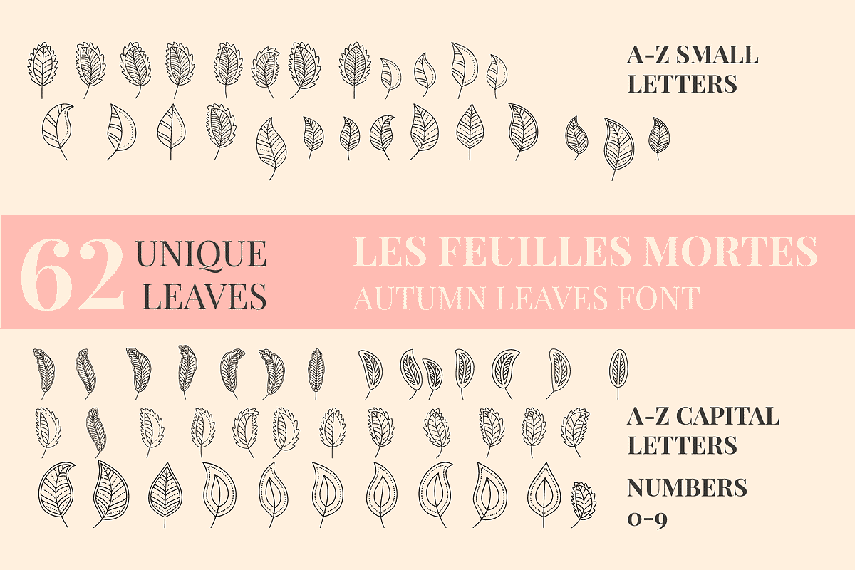 Autumn Leaves Dingbats Font, a Symbol Font by Minimalartstudio (Photo 2 of 3)