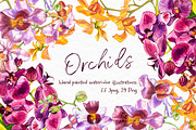 Orchids branch in botanical style, a Decorative Illustration by Ann Astro (Thumbnail 1 of 15)