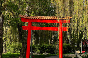 Red Torii gate surrounded by lush green trees on a bright sunny day, a Photo by AS photostudio