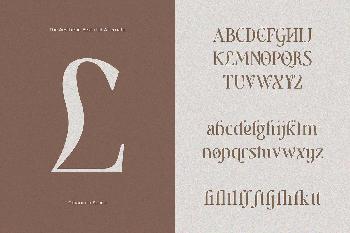 Aesthetic Essential | Modern Serif, a Serif Font by Megi Satyo Widodo (Photo 18 of 22)