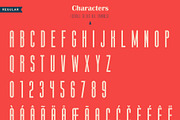 The Harmony - Condensed font family, a Sans Serif Font by Roman Paslavsky (Thumbnail 9 of 12)
