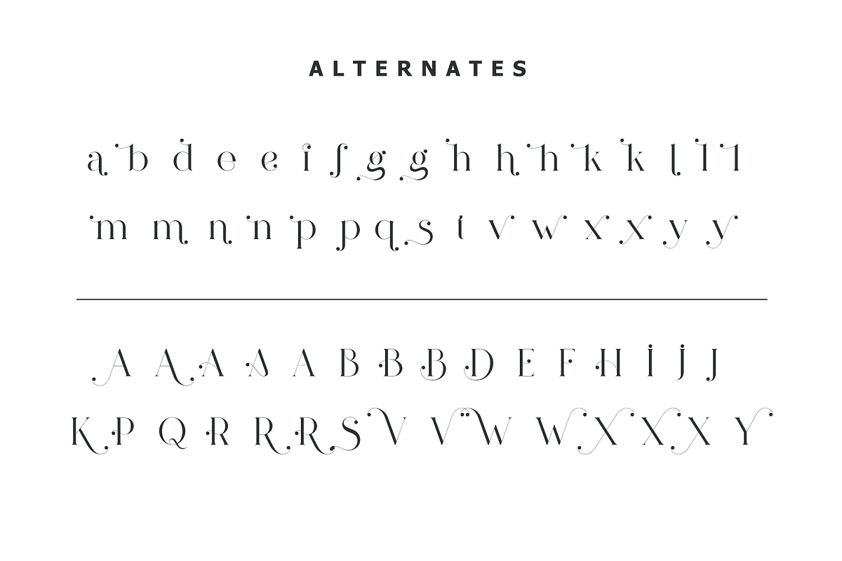 Pelagic Bird - Unique Ligature Font, a Serif Font by Yahya Type (Photo 19 of 22)