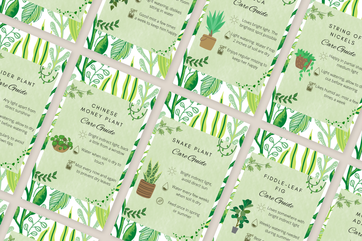 210 Canva Plant Instagram Bundle, a Social Media Template by Emerald Eyes Design (Photo 5 of 13)