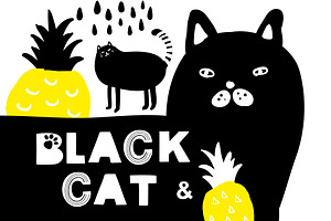 Korean cats