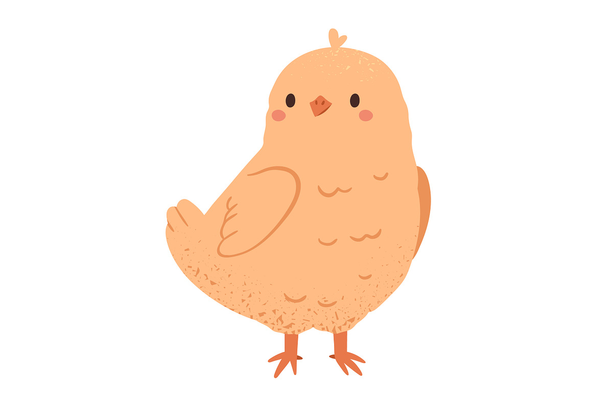 Chicken hatching from egg stages, an Animal Illustration by Good Studio (Photo 6 of 6)