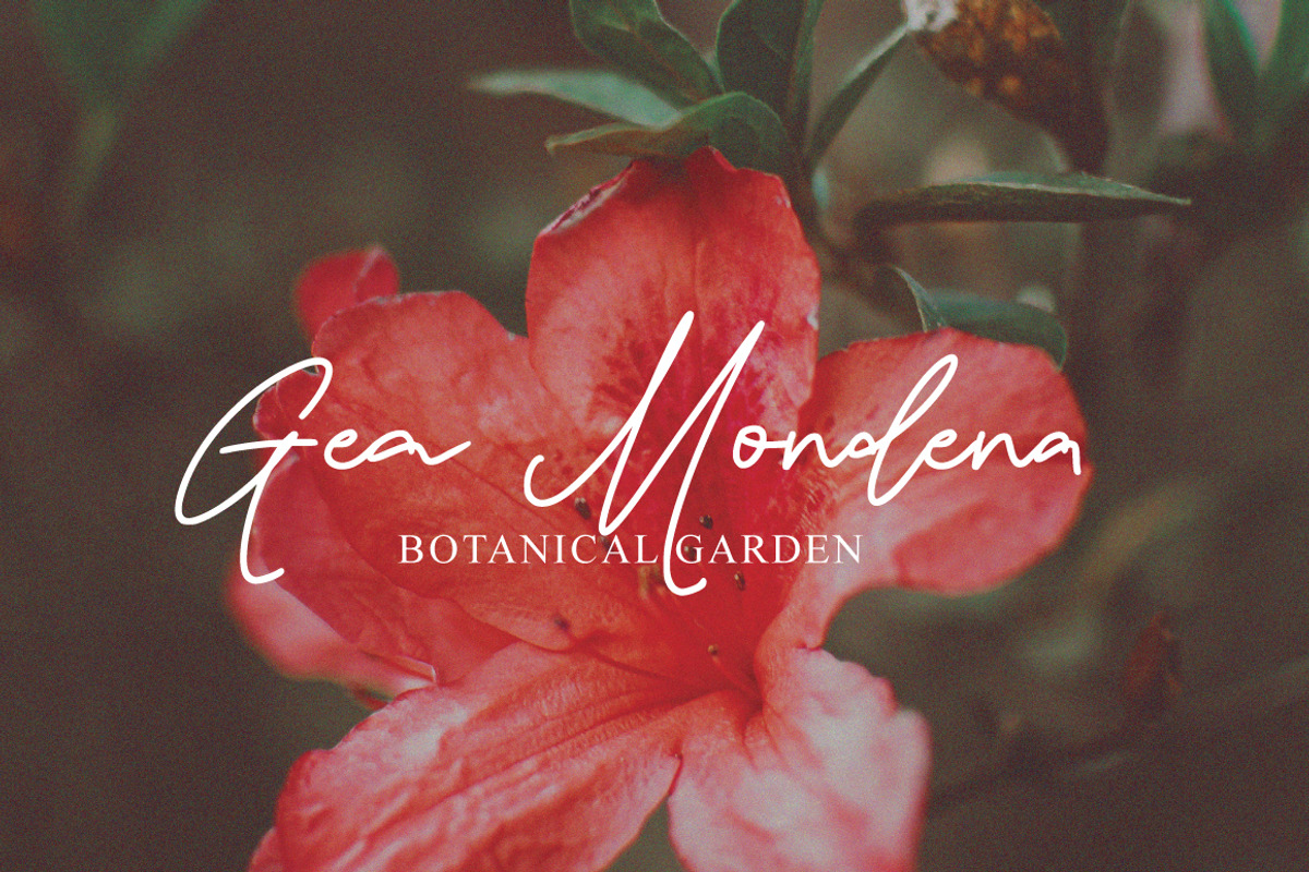 Damione - Handwritten Signature, a Handwritten Font by tebaltipislab (Photo 6 of 10)