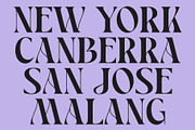 CS Brandis – Modern Serif Font, a Serif Font by Craft Supply Co. (Thumbnail 6 of 8)