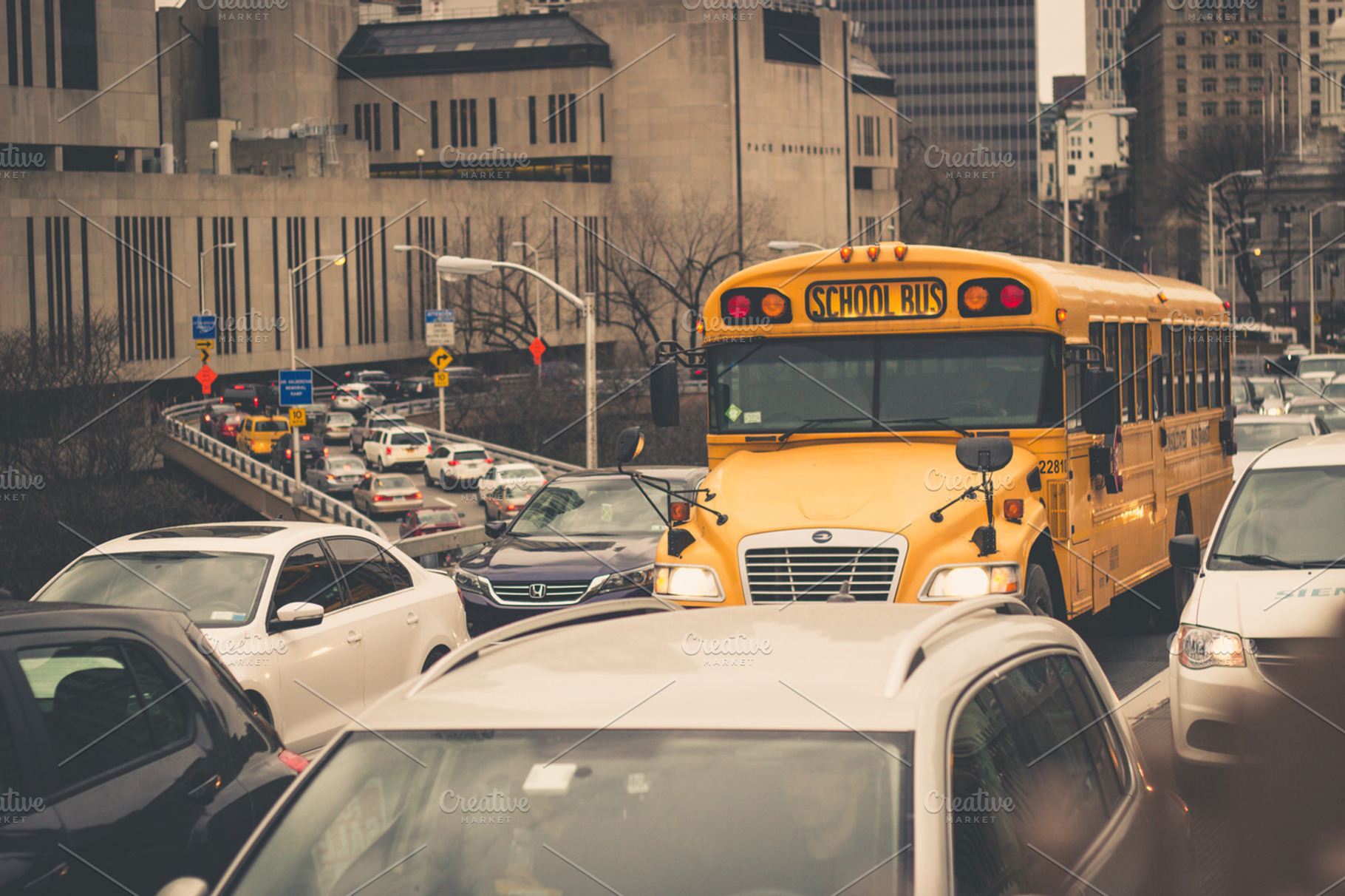 New York School Bus, a Transportation Photo by north.