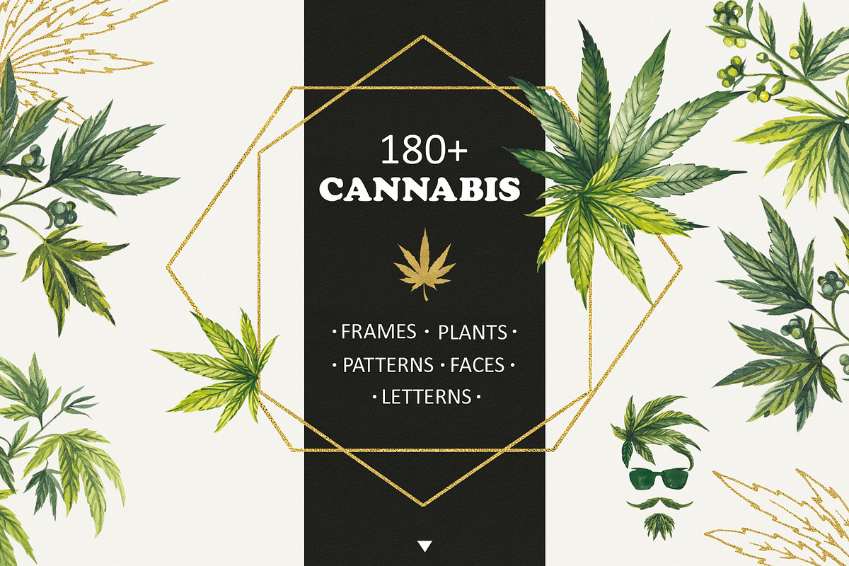 CANNABIS / MARIJUANA BUNDLE, a Decorative Illustration by Elena_Sedova (Photo 2 of 30)