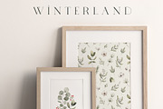 Watercolor Winter. Christmas florals, an Illustration by Kreker Kate (Thumbnail 3 of 10)