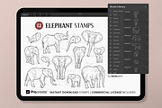 African Elephant Procreate Stamps, a Shape Add-On by MadliArt (Thumbnail 2 of 4)