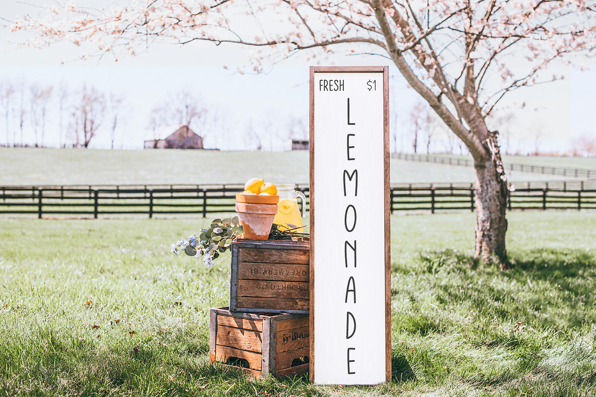 Farmhouse Lemonade, Tall Skinny Font, a Handwritten Font by Kaya Fonts (Photo 2 of 24)