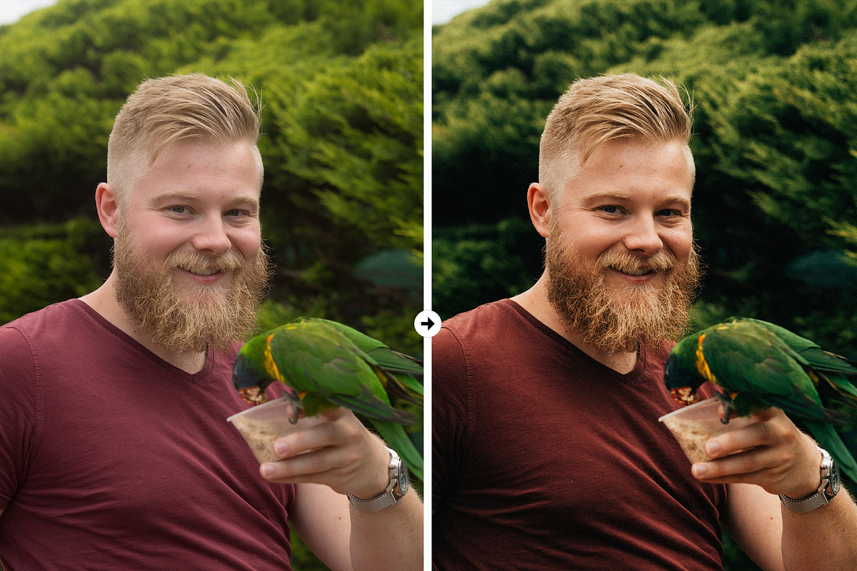 20 Kodak Style Film Lr & Ps Presets, an Action Add-On by M E G A S E T S (Photo 5 of 9)