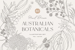 Australian Botanical Illustrations