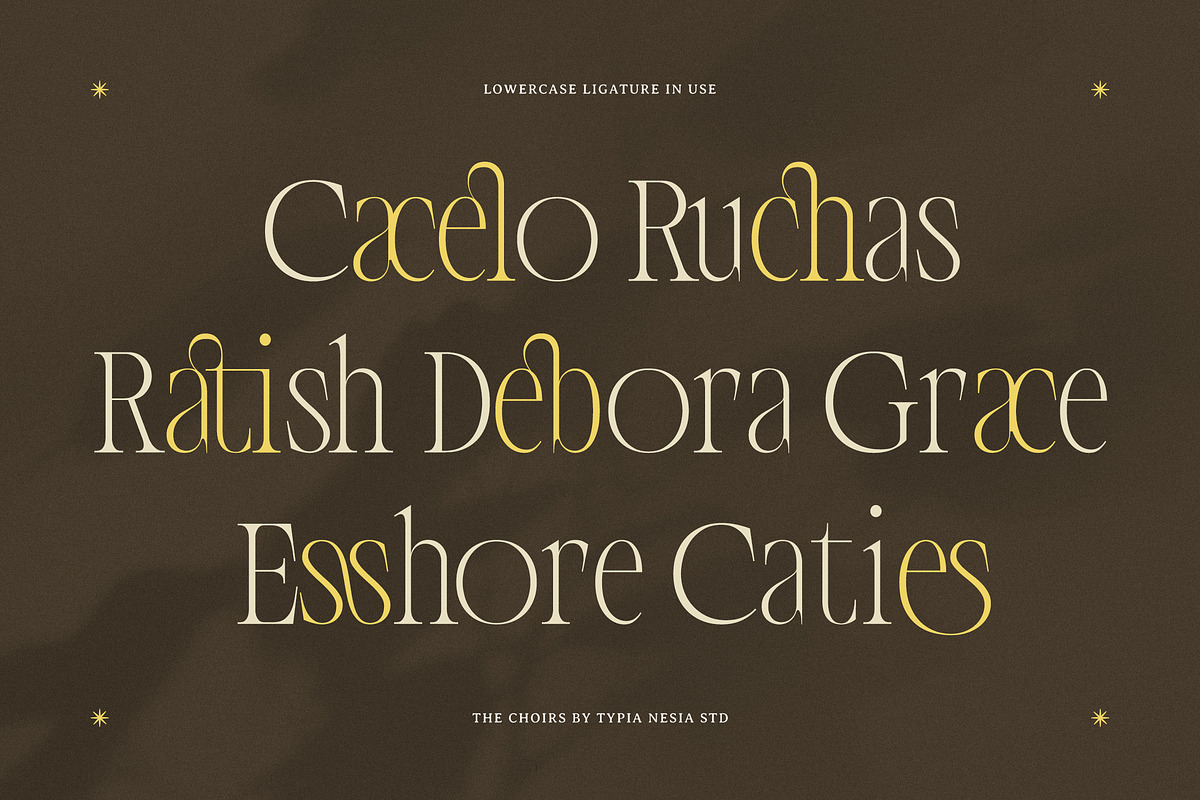 The Choirs - Beauty Elegant Ligature, a Serif Font by Typia Nesia (Photo 6 of 16)