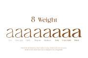 Austen - Aesthetic Serif Font, a Serif Font by Ardyanatypes (Thumbnail 11 of 12)