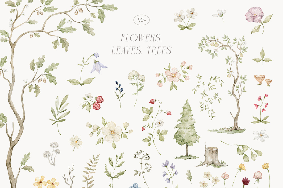 Woodland Animals Watercolor Forest, an Animal Illustration by Kreker Kate (Photo 11 of 12)