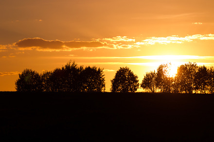 Evening landscape with silhouettes o stock photo containing sunset and, a Nature Photo by oleghz