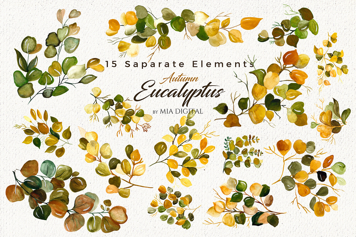 Watercolor Eucalyptus Branches, an Illustration by Mia Digital (Photo 2 of 5)