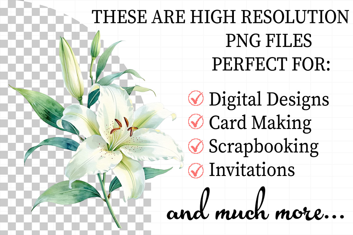 Floral Watercolor Set, Flowers, Leav, an Illustration by Daily.Designs (Photo 2 of 7)