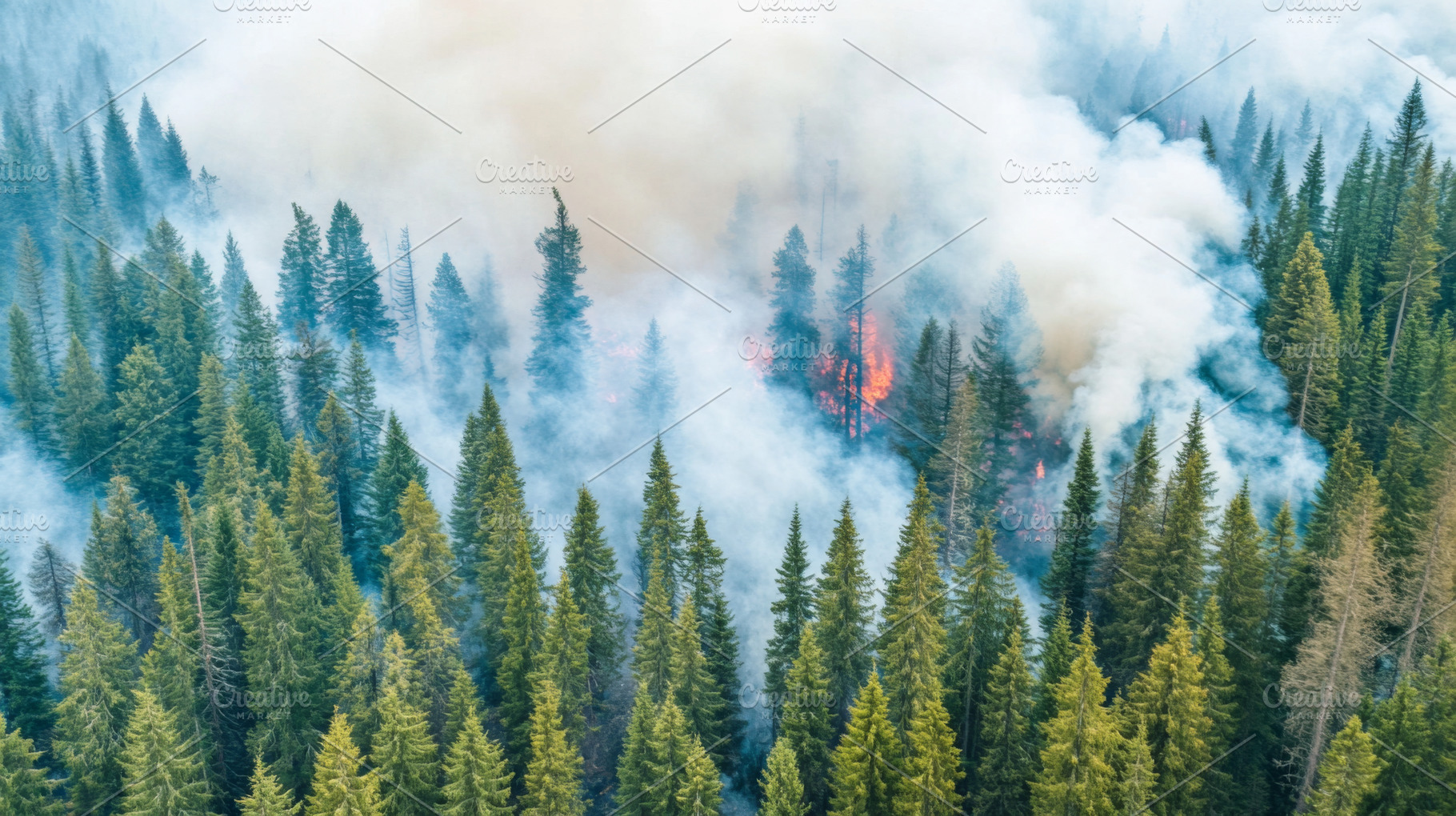 Forest wildfire with dense smoke, a Photo by Dvoevnore photos