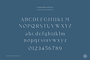 Casablanca - Sleek & Exotic Serif, a Serif Font by Alubia design (Thumbnail 9 of 11)