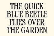 CS Alistair Stamp, a Serif Font by Craft Supply Co. (Thumbnail 5 of 8)