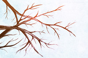 Watercolor Trees - Photoshop Brushes preview 2