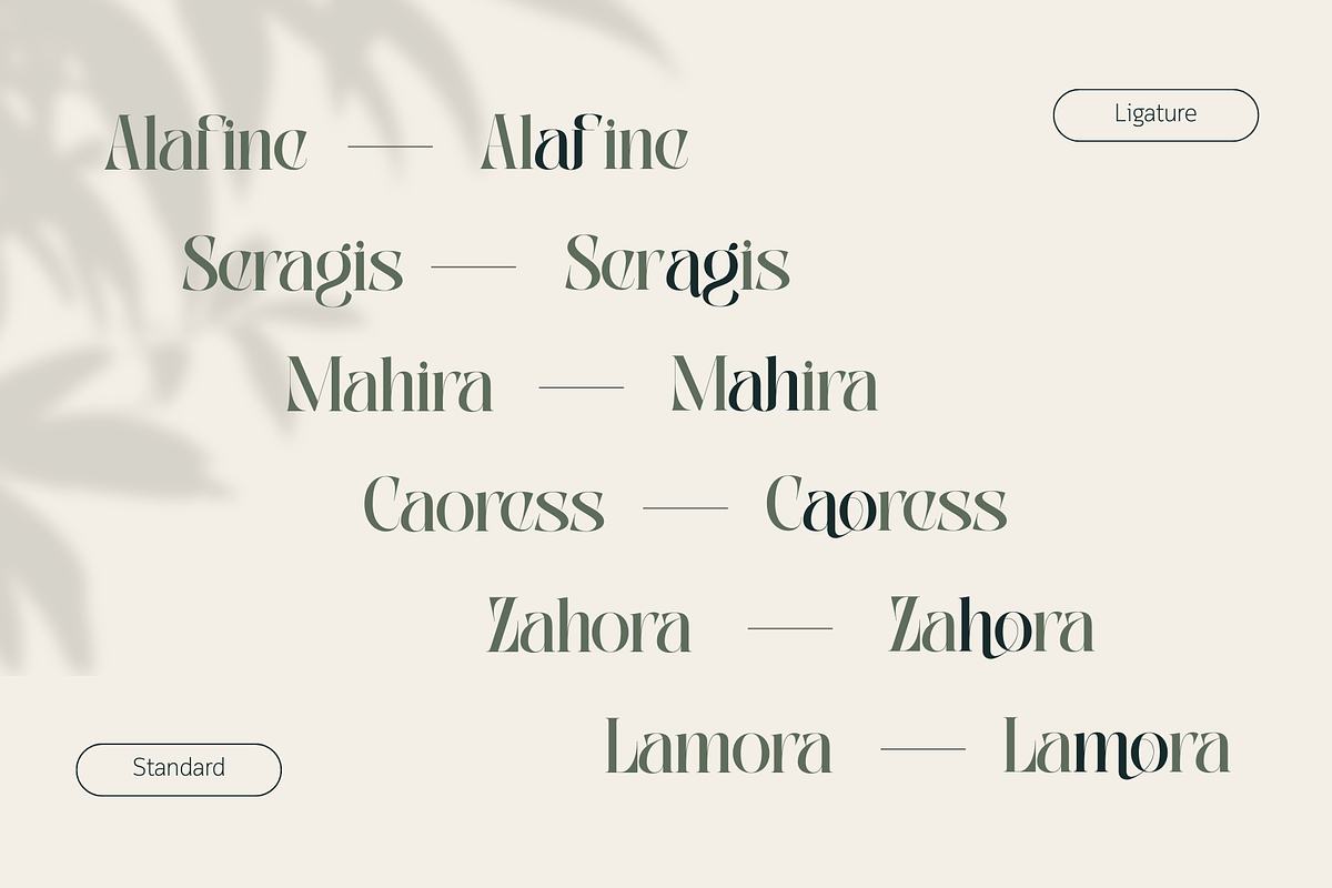 Abogia - Modern Serif Logo Font, a Serif Font by Nirmana Visual (Photo 5 of 16)