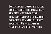 Dracers Halloween Font, a Serif Font by Design House (Thumbnail 2 of 3)