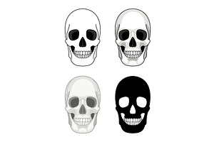 Simple Skull. Doodles Skulls Vector