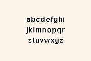 Monfishyer Sans Serif Family, a Sans Serif Font by UICreative (Thumbnail 6 of 13)