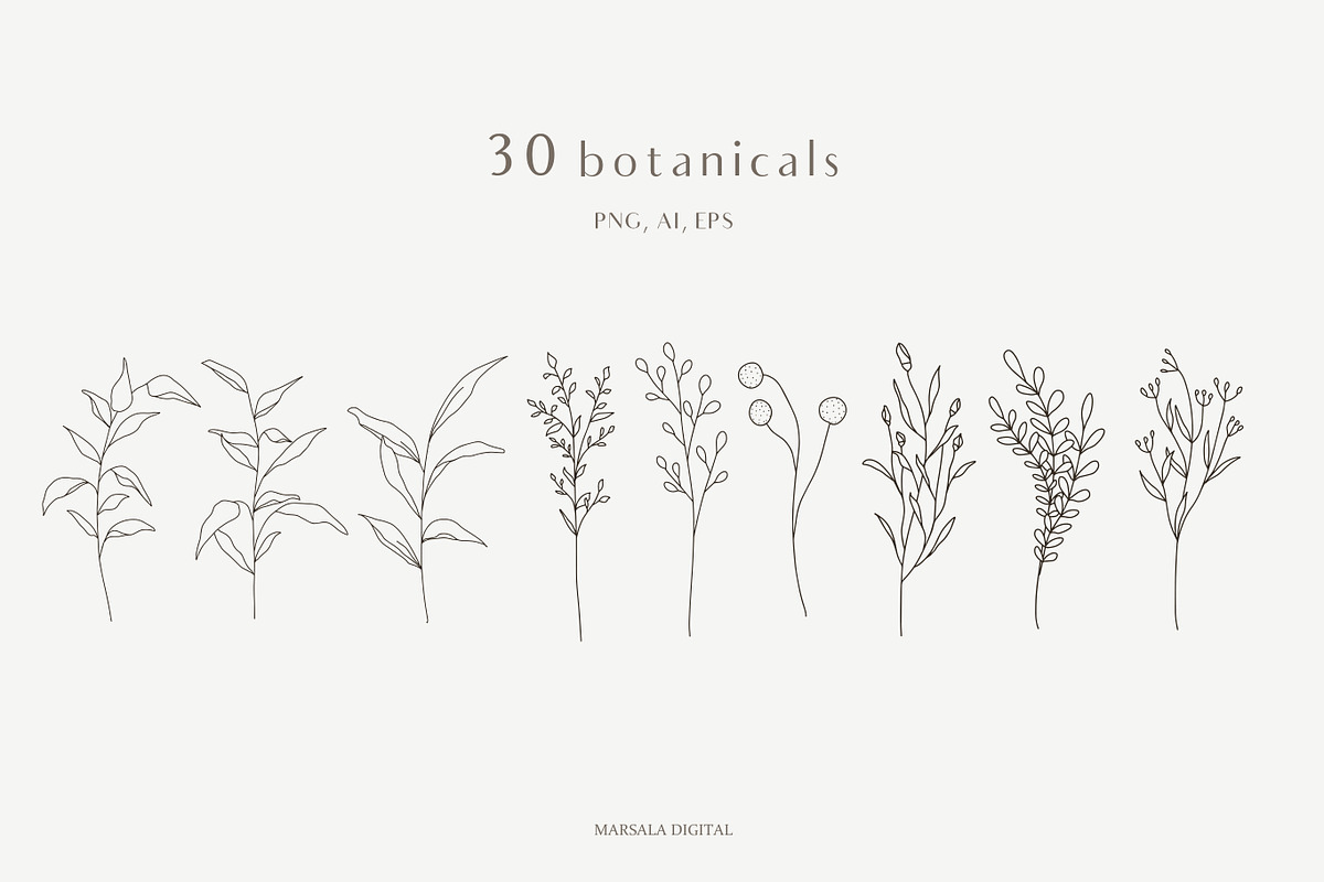 Botanical Line Art Illustrations V1, a Texture Illustration by Kaya Fonts (Photo 4 of 9)