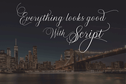 Metropolis, a Script Font by Deniz86 (Thumbnail 3 of 11)