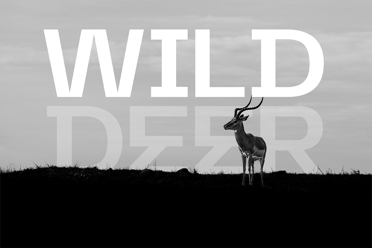 Replicon Typeface, a Sans Serif Font by Foxtype (Photo 6 of 10)
