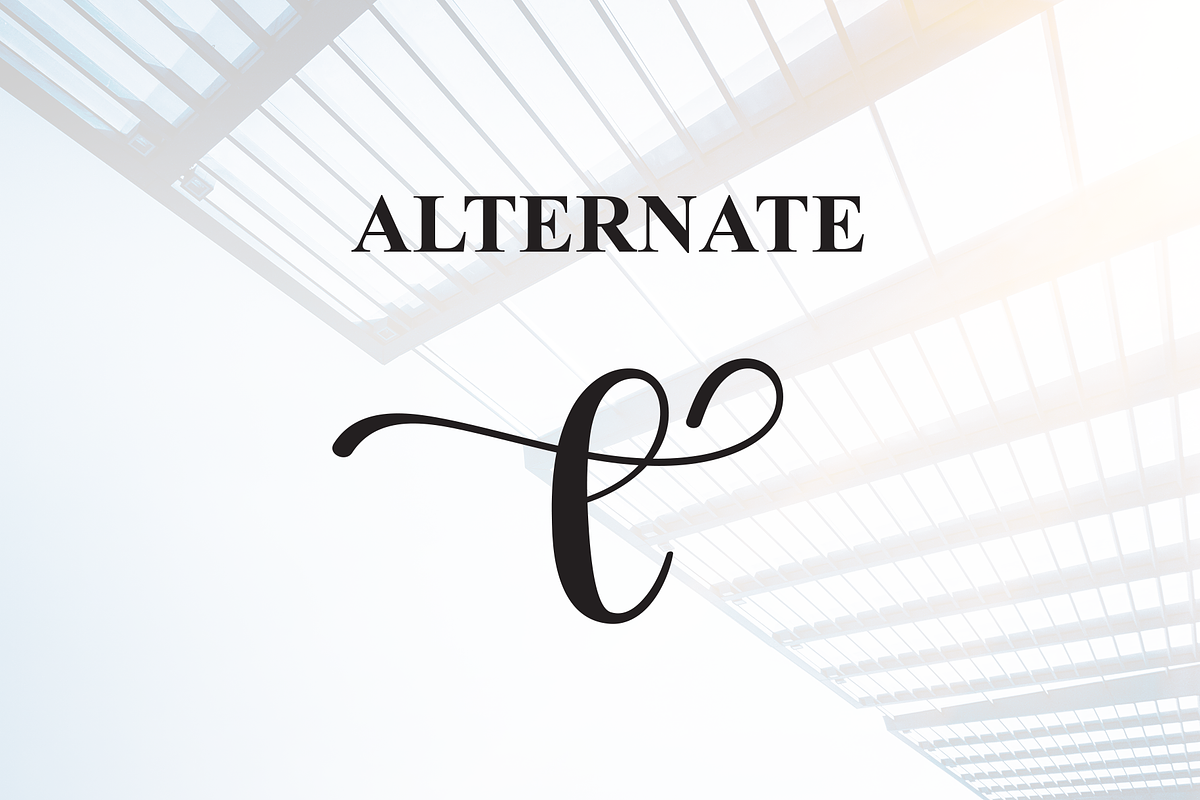 Skylight | Script Font, a Handwritten Font by Scratchones (Photo 8 of 9)