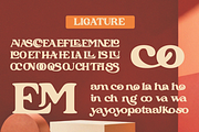 Camheon - Bold Display Serif Font, a Serif Font by Qweera Studio (Thumbnail 10 of 12)