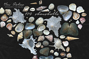 Sea Relics: Objects & Backgrounds, an Object Graphic by Purple (Thumbnail 4 of 14)