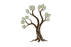 Olive trees with branches and, a Food Illustration by Things for designers