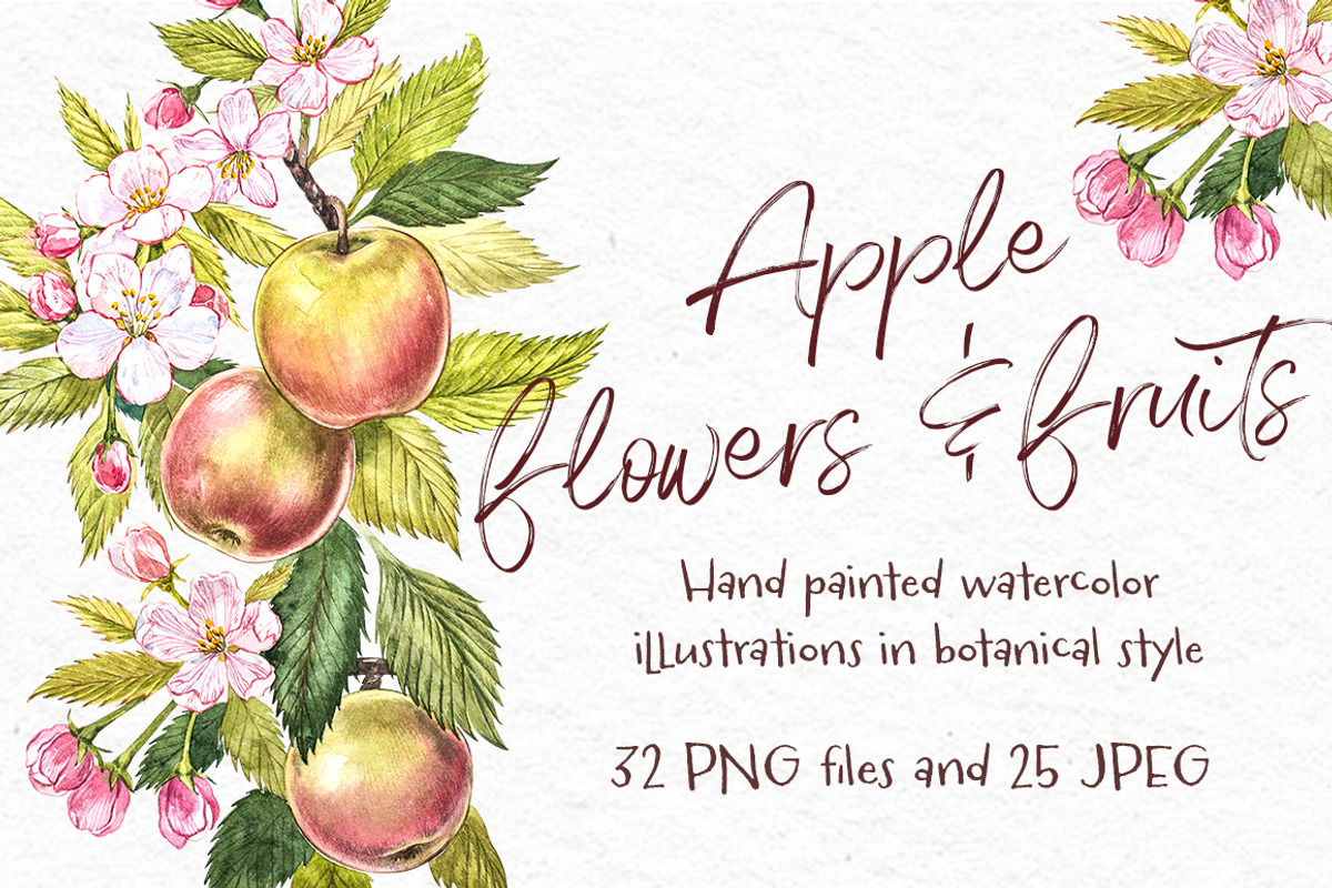 Apple Graphic & Watercolor clipart, a Healthcare Illustration by Ann Astro (Photo 2 of 5)